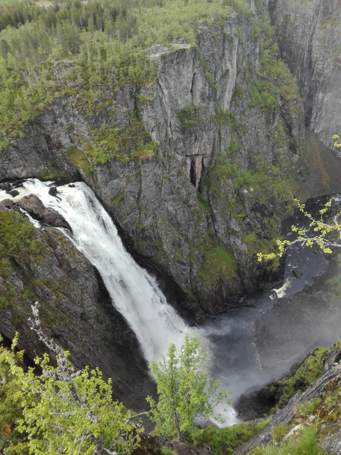 Liseth Pensjonat Og Hyttetun Eidfjord Exterior photo